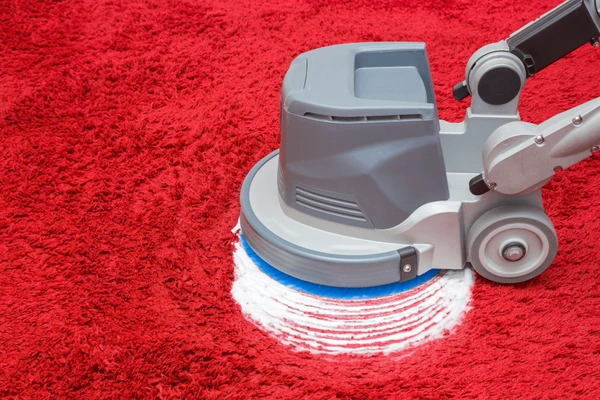 Carpet Cleaning