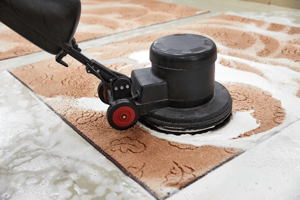 Professional Carpet And Rug Cleaning Near Me by Steam Boss removing stains from wool rug and carpet using steam cleaning equipment