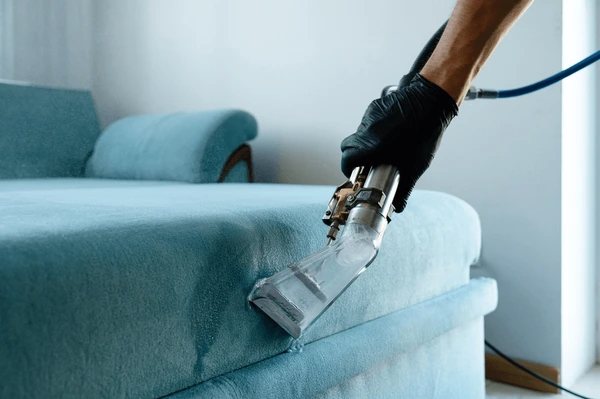 Carpet Upholstery Cleaner Brisbane providing professional steam cleaning for carpets and sofas in a modern home