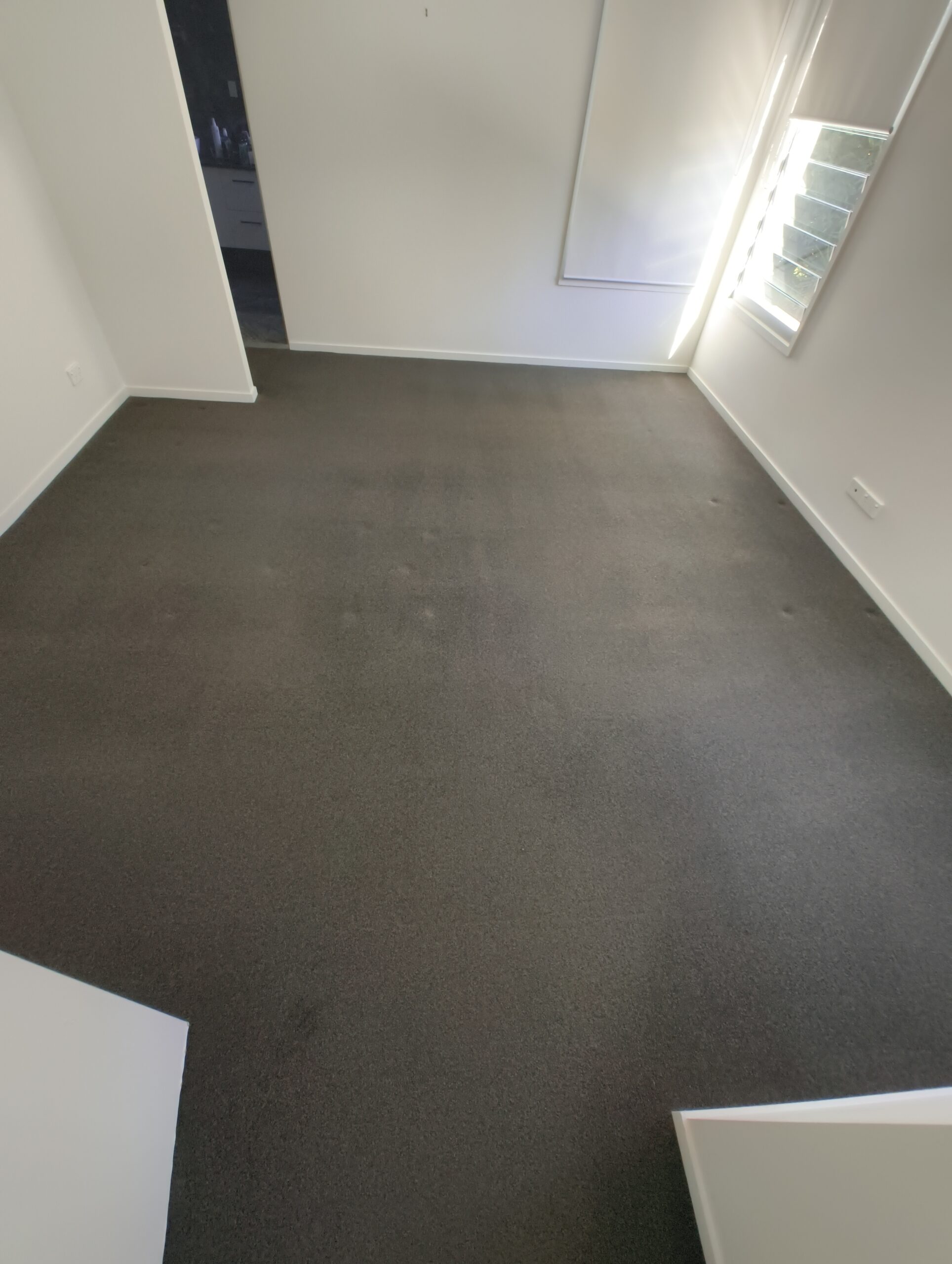Professional carpet cleaner providing deep steam carpet cleaning services in Brisbane and the Gold Coast.