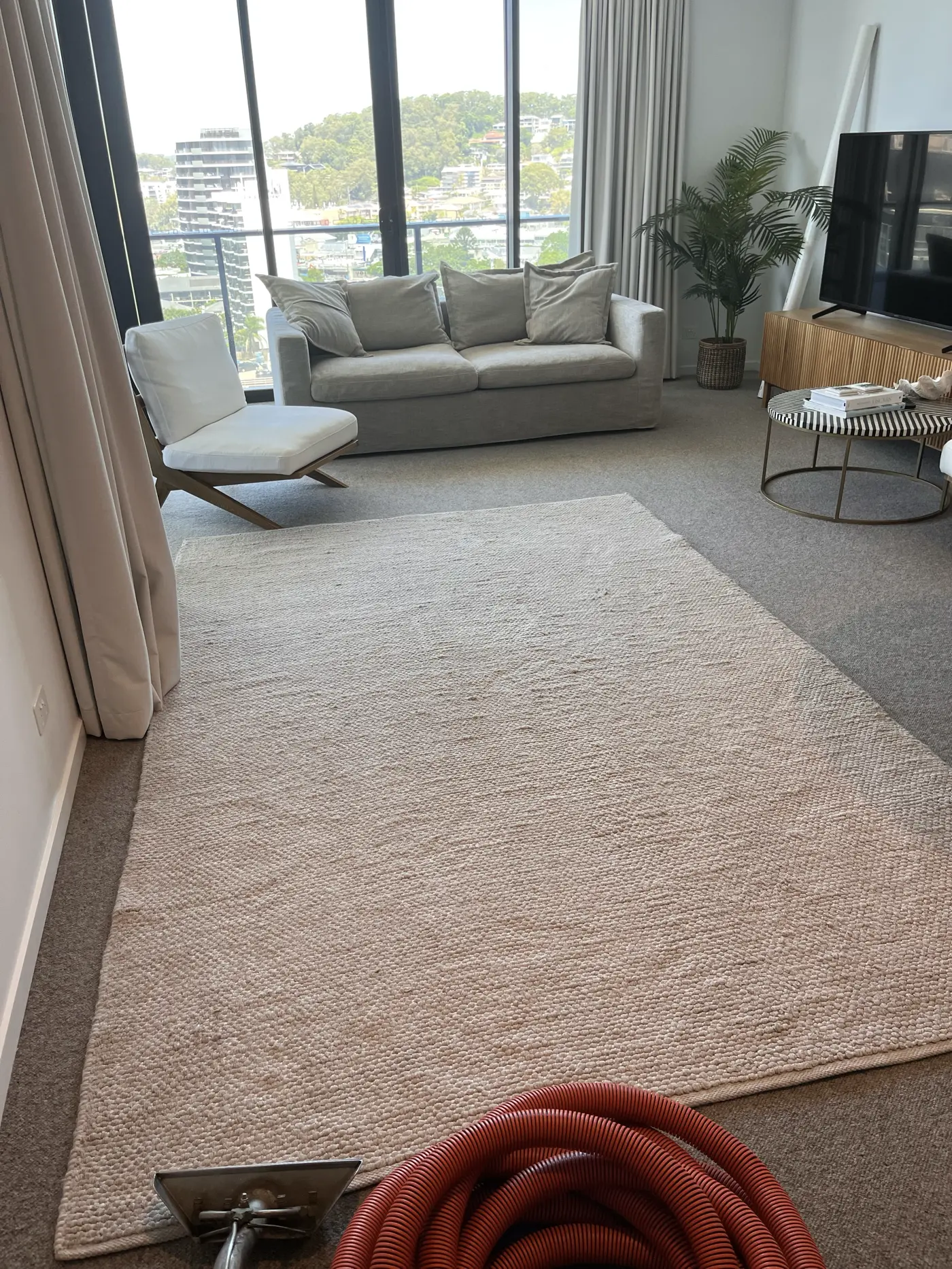 Clean rug after steam cleaning
