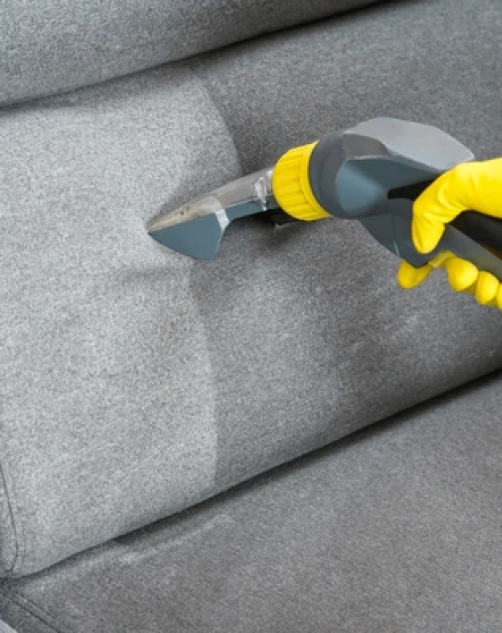 Couch Cleaning Gold Coast