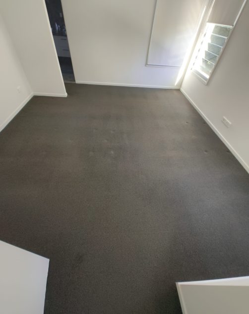 Professional carpet cleaner providing deep steam carpet cleaning services in Brisbane and the Gold Coast.