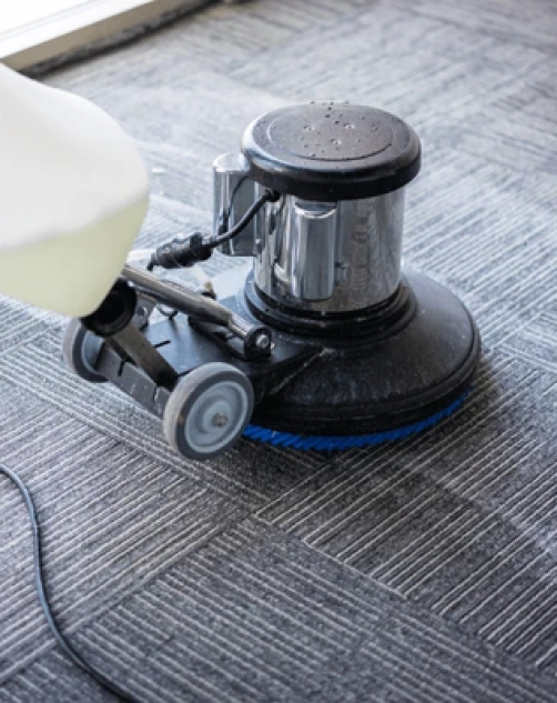 Carpet Upholstery Cleaner Gold Coast