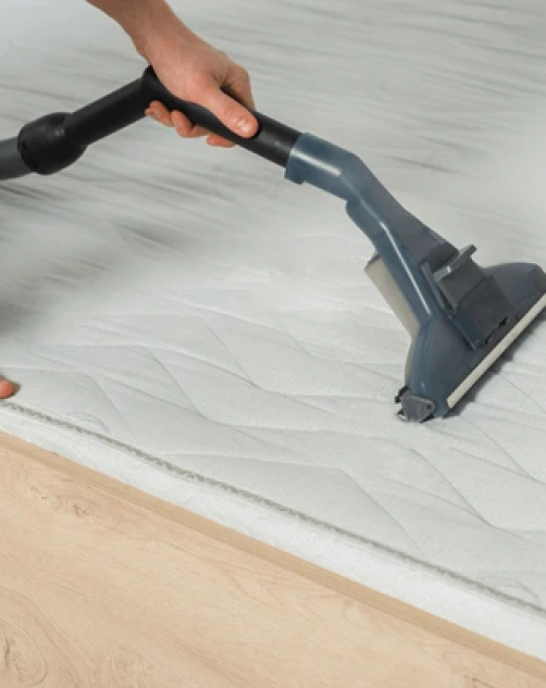 codifyformatter - 2026-02-12T095735.930