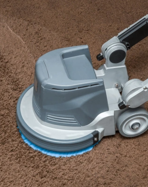 Carpet Care Near Me