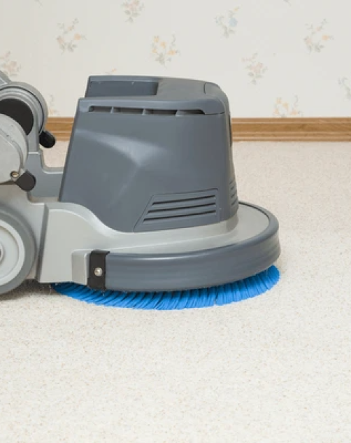 Carpet Steam Cleaning Brisbane