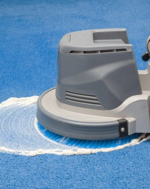 Professional Carpet Cleaning Brisbane