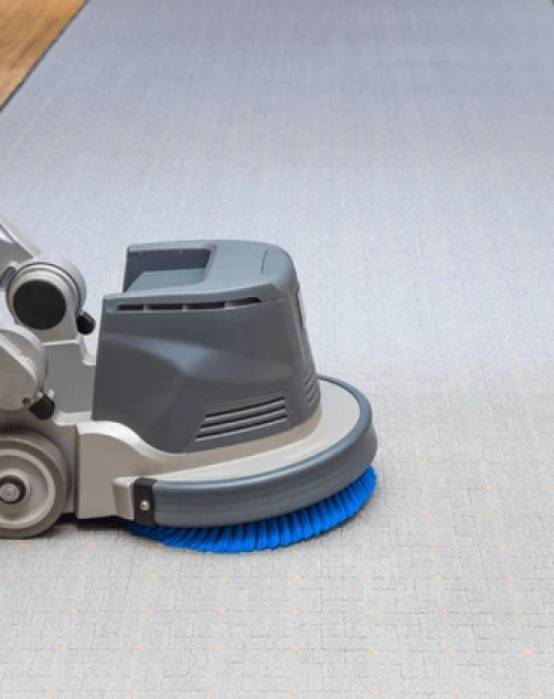 Professional Carpet Cleaning Brisbane