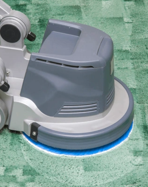 Carpet And Upholstery Cleaning Gold Coast