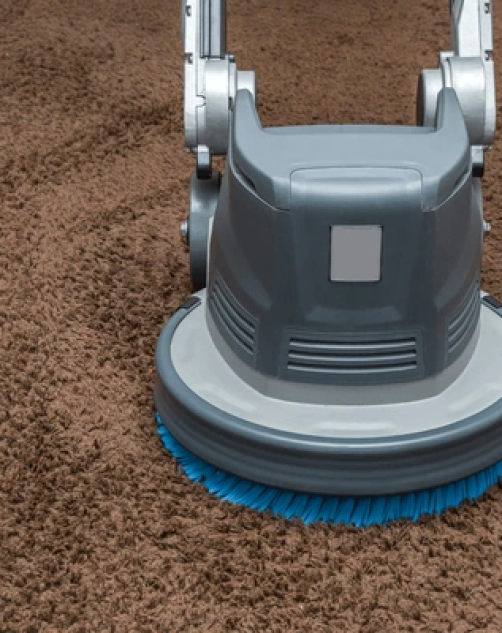 Rug Cleaning Gold Coast