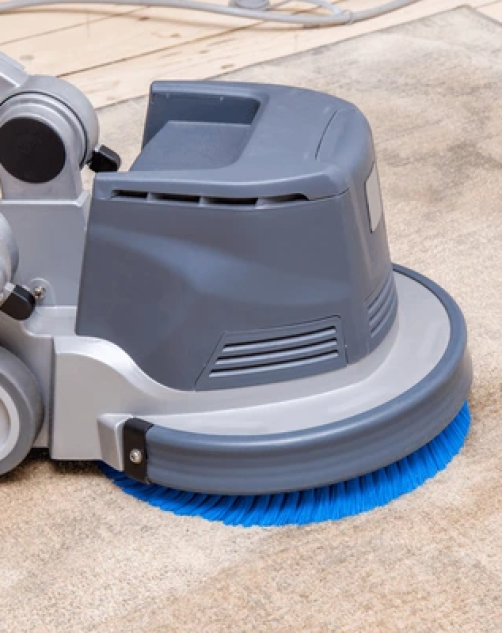 Carpet Cleaners Near Me