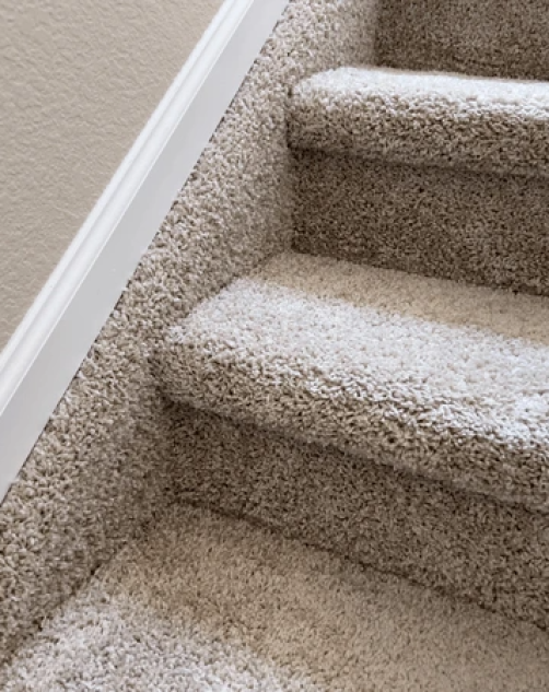 Carpet Cleaners Near Me