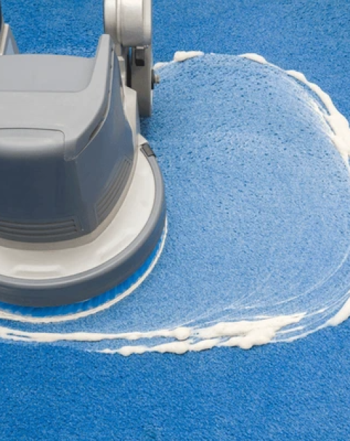 Carpet Stain Removal Gold Coast