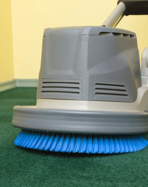 Carpet Stain Removal Gold Coast