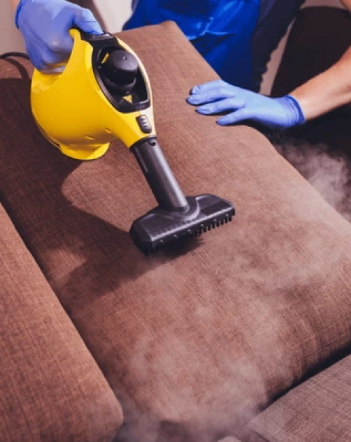 Sofa Steam Cleaning Near Me professional upholstery steam cleaning Gold Coast Brisbane