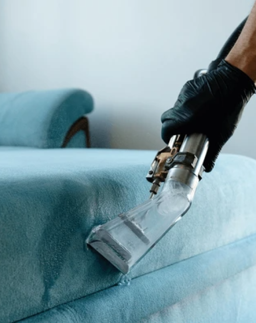 Carpet Upholstery Cleaner Brisbane providing professional steam cleaning for carpets and sofas in a modern home