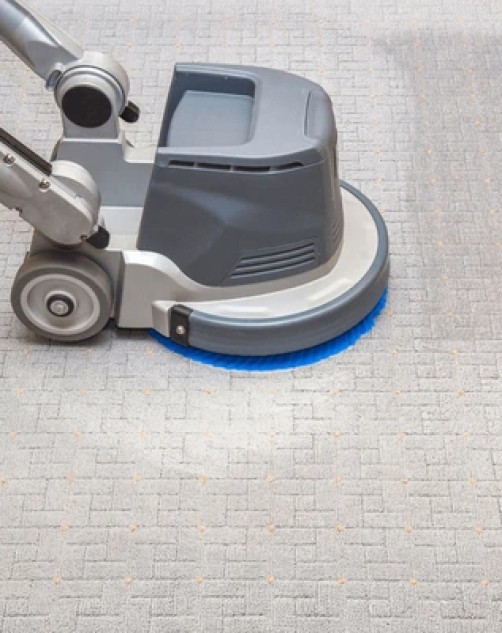 Carpet Cleaning Services Near Me