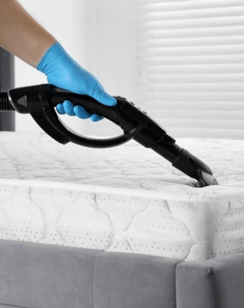 Mattress Cleaning Gold Coast service using professional steam cleaning equipment